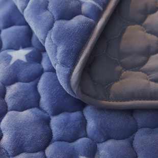 珊瑚绒床单冬季绒加绒单件，法兰绒毯子垫床毛毯褥子加厚法莱绒双层