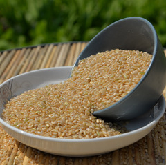 五谷粗粮胚芽500g发芽农家糙米