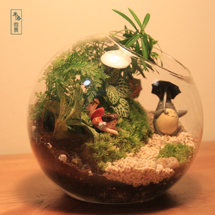米洛微景山路龙猫苔藓微景观，生态瓶创意，迷你植物办公室内盆景