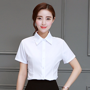 韩版棉白色女衬衫短袖夏装半袖工作服正装工装大码衬衣职业女装ol