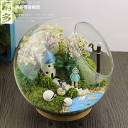 纯苔藓微景观生态瓶创意diy组合盆栽新奇仿真植物礼物办公室