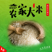 农家大米 不抛光 大米 农家大米 海岛农产大米 自种大米 香大米
