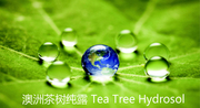 澳洲有机茶树纯露 祛-痘 控油 收敛 天然植物花水 补水喷雾500ML