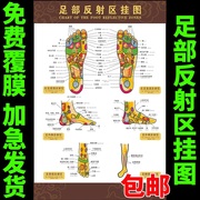 子途足部反射区图足底，穴位图人体经络穴位挂图，中医文化海报海报