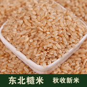 23年新米 东北糙米粳米 玄米 农家 胚芽米 发芽大米 五谷杂粮500g