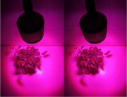 40w大功率led植物藻类生长灯，珊瑚灯鱼缸灯水草灯鱼场灯