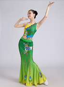 傣族舞蹈服演出服装孔雀，舞蹈服装女傣族裙子，表演包臀鱼尾裙艺考