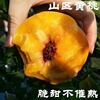 平谷大桃 新鲜黄桃 绿色水果 农家肥 脆甜 现摘 500g