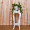 简约木质法式田园室内花架实木，花架象白色，欧式花盆架吊兰绿萝韩式