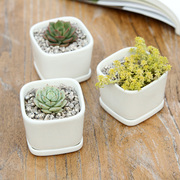 多肉植物陶瓷白瓷小花盆创意肉肉植物正方形小瓷盆带瓷托底托盘