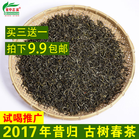 乔木古树