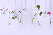 依茉玻璃吊花瓶透明水培简约现代田园创意悬挂式装饰个性花器吊瓶