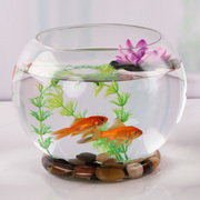 玻璃金鱼缸创意带底圆形透明水培绿萝家用底座鱼缸办公桌面摆件