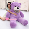 大熊猫毛绒玩具泰迪熊公仔狗熊布偶娃娃2抱抱熊1.6米生日礼物女孩