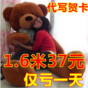 泰迪熊公仔大号毛绒玩具熊1.6米狗熊玩偶熊猫抱抱熊布娃娃送女生