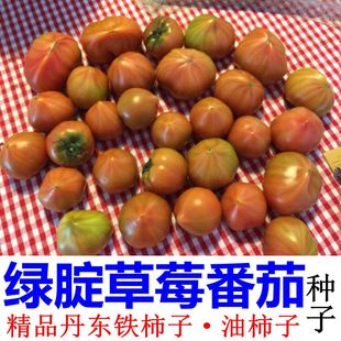 东北草莓番茄种子 绿腚西红柿铁柿子 耐低温黑龙江铁皮油柿子籽