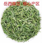 安徽特产岳西翠兰茶叶2024年新茶高山云雾明前翠尖绿茶250g罐