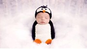 新生儿宝宝摄影衣服婴儿满月拍照相企鹅毛线，睡袋造型衣艺术照服装