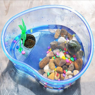 塑料乌龟缸透明小型造景，带晒台大中小号水陆龟，箱大中型别墅专用缸