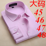 粉红色斜条纹男士长袖，衬衫46.47.48加肥加大码新郎结婚用宽松衬衣