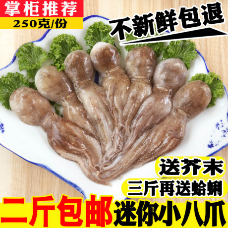 八爪鱼