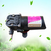 农用电动喷雾器专用水泵，12v压力水泵，微型高压水泵隔膜泵