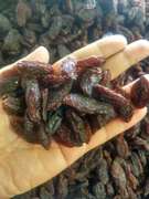 新疆吐鲁番葡萄沟特级红香妃王超大葡萄干500g零食免洗0添加