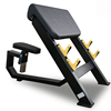 健身房商用牧师椅 牧师凳 二头肌训练凳 二头肌架 三头肌训练器