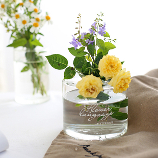 BAOZAKKA北欧风透明玻璃花瓶水培花器家居桌面软装饰品摆件香薰瓶