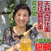 东北百花蜜500g大兴安岭农家土蜂蜜42度成熟蜜百花蜜纯天然结晶蜜