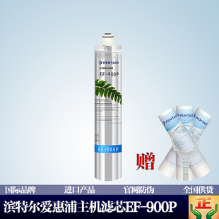 前置滨特尔爱惠浦正净水器滤芯家用自来水直饮过滤器ef-900p