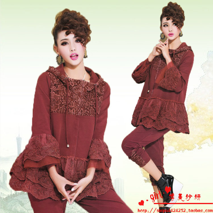 维艾<em>阿朵</em>大码<em>女装</em>2013秋装新款<em>韩版</em>宽松带帽
