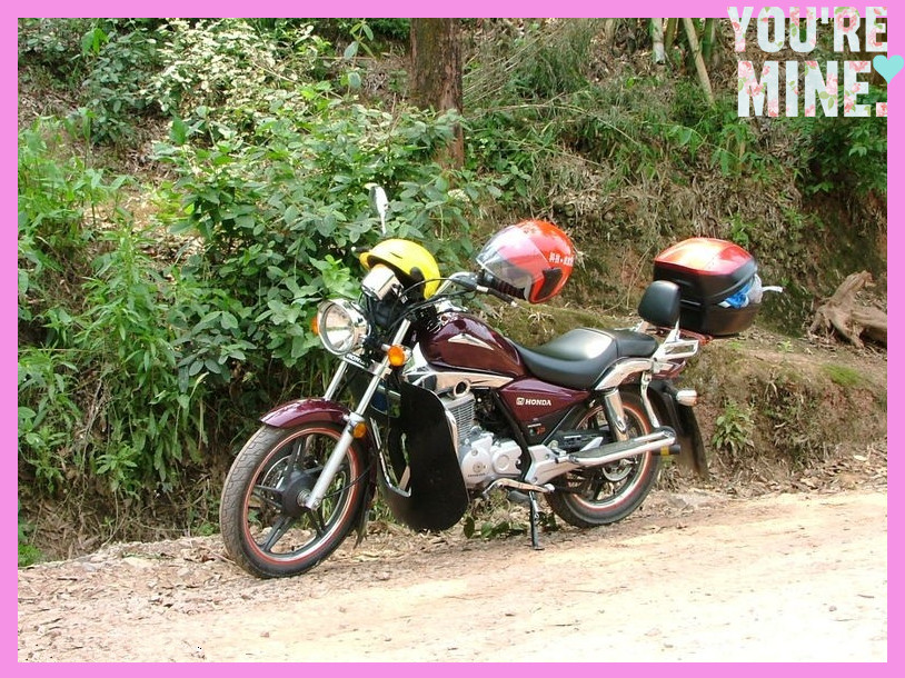 新品到货 新大洲本田太子SDH150-16焰影改装