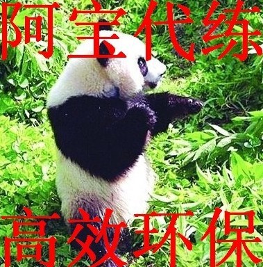 阿宝剑三代练 剑侠情缘3代练 剑网3代练全区全