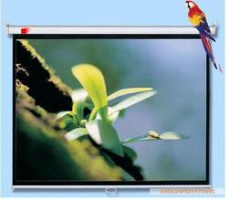 办公设备\/文具\/耗材,幕布,三叶投影机幕布三叶寸