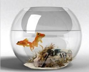 特大号50cm球形鱼缸 圆形玻璃鱼缸 家居摆件玻