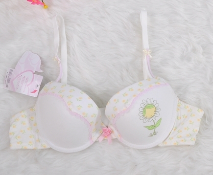 箐箐贵族正品少女<em>文胸 青少年</em>有<em>钢圈</em>莫代尔纯