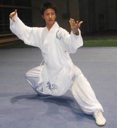 男装,民族服装,武术服新款武侠男装一套武侠服