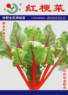 寿光 蔬菜 种子 辽研精选 红梗菜 种子 四季均可