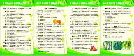 209海报展板办公装饰4199绿色蔬菜种植农民合