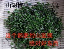 【野山胡椒】最新最全野山胡椒 产品参考信息