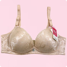 <em>文胸</em> <em>钢圈</em>