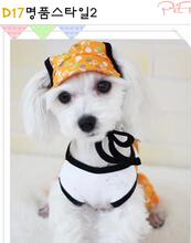 【个性宠物名】最新最全个性宠物名 产品参考