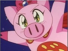 【飞天少女猪】最新最全飞天少女猪 产品参考信息_一淘搜索