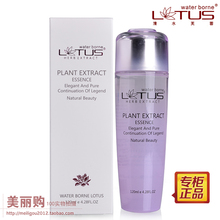 关于吕文博清水芙蓉辟新章的毕业论文的格式范文