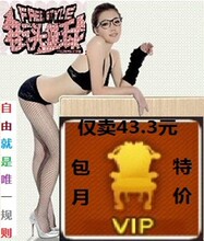 【街头篮球vip包】最新最全街头篮球vip包 产品