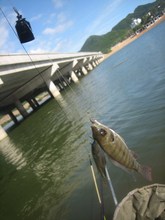 【可视钓鱼竿】最新最全可视钓鱼竿 产品参考