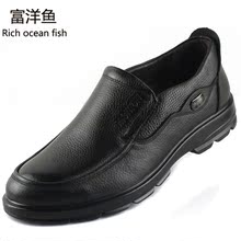 【富洋鱼】最新最全富洋鱼 产品参考信息