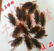 【假蟑螂】最新最全假蟑螂 产品参考信息