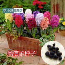 【<em>败犬女王风信子</em>】最新最全<em>败犬女王风信子</em> 